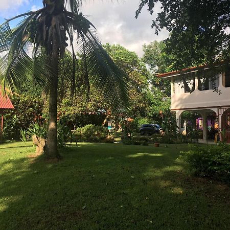 Casa Ballena Eco Hostel Увита Екстериор снимка