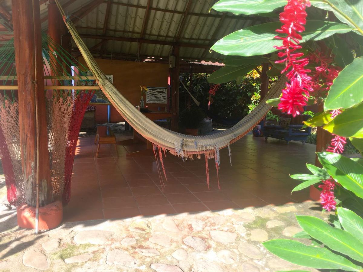 Casa Ballena Eco Hostel Увита Екстериор снимка