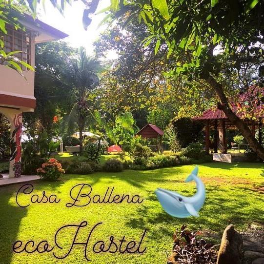 Casa Ballena Eco Hostel Увита Екстериор снимка